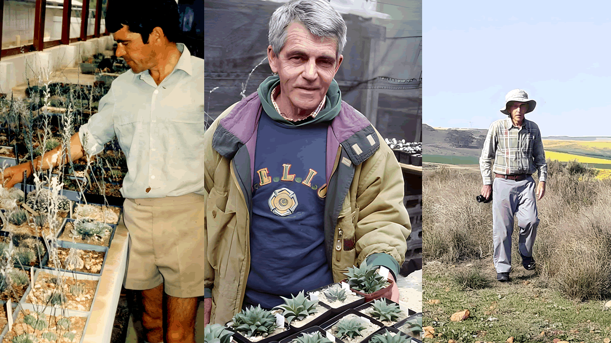 布鲁斯·拜尔：瓦苇属的终极权威